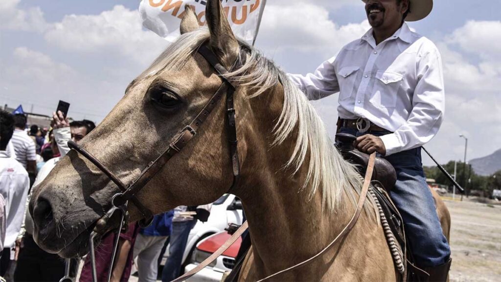 El diputado cayó del caballo.