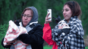 Continúan las mañanas heladas en CDMX para este jueves 6 de noviembre