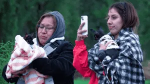 Continúan las mañanas heladas en CDMX para este jueves 6 de noviembre