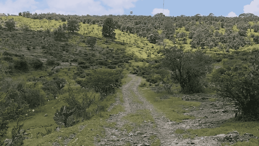 Fosa ligada a diputado en Michoacán