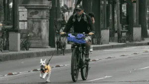 Ligero aumento de temperatura y sin lluvia en CDMX para este sábado 29