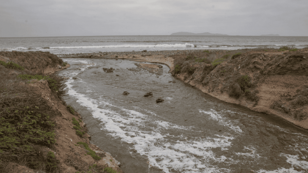 Veracruz con playas contaminadas