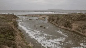 Playas del sur de Veracruz se tapizan de basura y PET