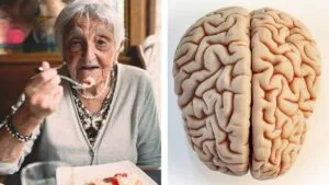 Las cinco edades del cerebro humano: científicos revelan cómo cambia a lo largo de la vida