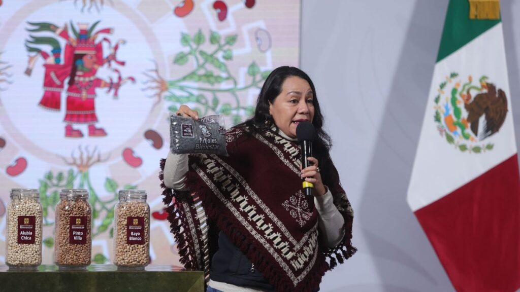 Feria del Frijol en CDMX: la UACh hablará de su semilla negra de alto valor nutracéutico