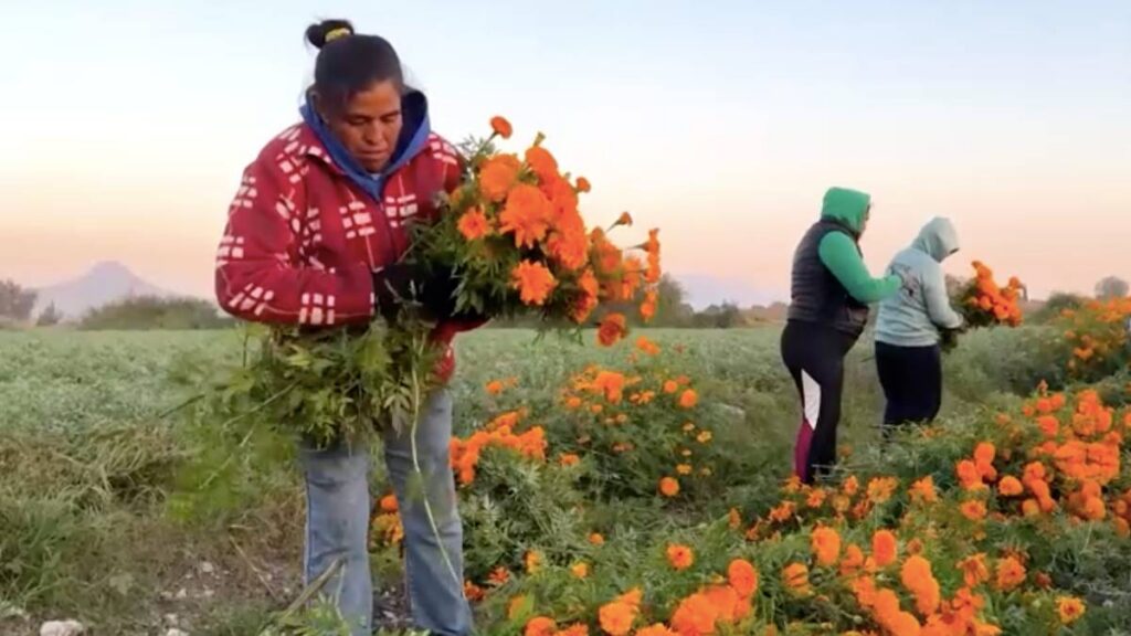 Frente frío en Día de Muertos: estados con heladas, lluvias y vientos fuertes