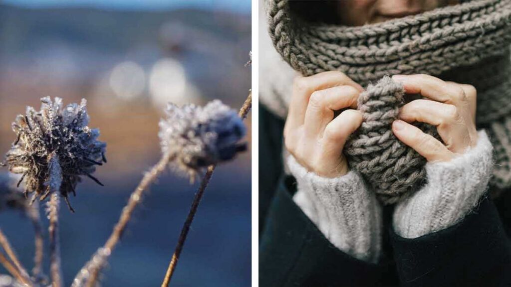 5 DÍAS DE HELADAS: SE ESPERAN HASTA -10 GRADOS EN ESTOS ESTADOS