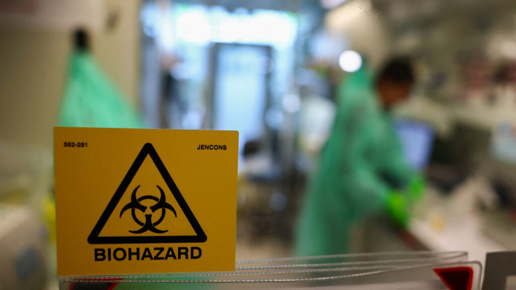 Alertan por peligro de la gripe aviar y su expansión en el mundo