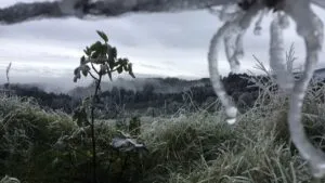 Vórtice polar: qué este fenómeno que provocará fuertes cambios en el clima y cuáles son las regiones más vulnerables