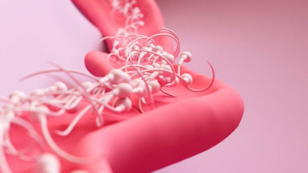 IA logra embarazo imposible, detectó los dos únicos espermatozoides viables de un hombre