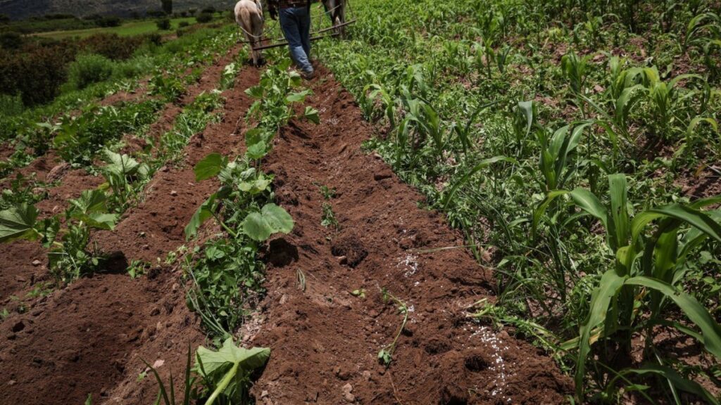 LeBarón llama a sumarse a marcha este lunes en defensa del agua para el campo