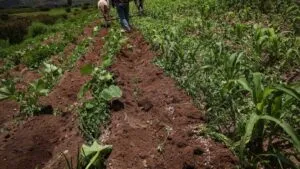 LeBarón llama a sumarse a marcha este lunes en defensa del agua para el campo