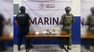 Caen 54 presuntos criminales en Colima