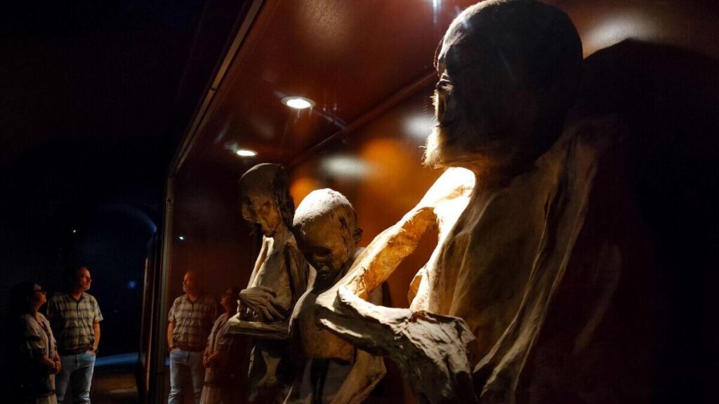 Reconocen deterioro de las Momias de Guanajuato