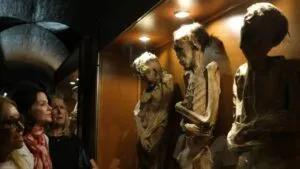 ¿Por qué podrían desaparecer las Momias de Guanajuato?