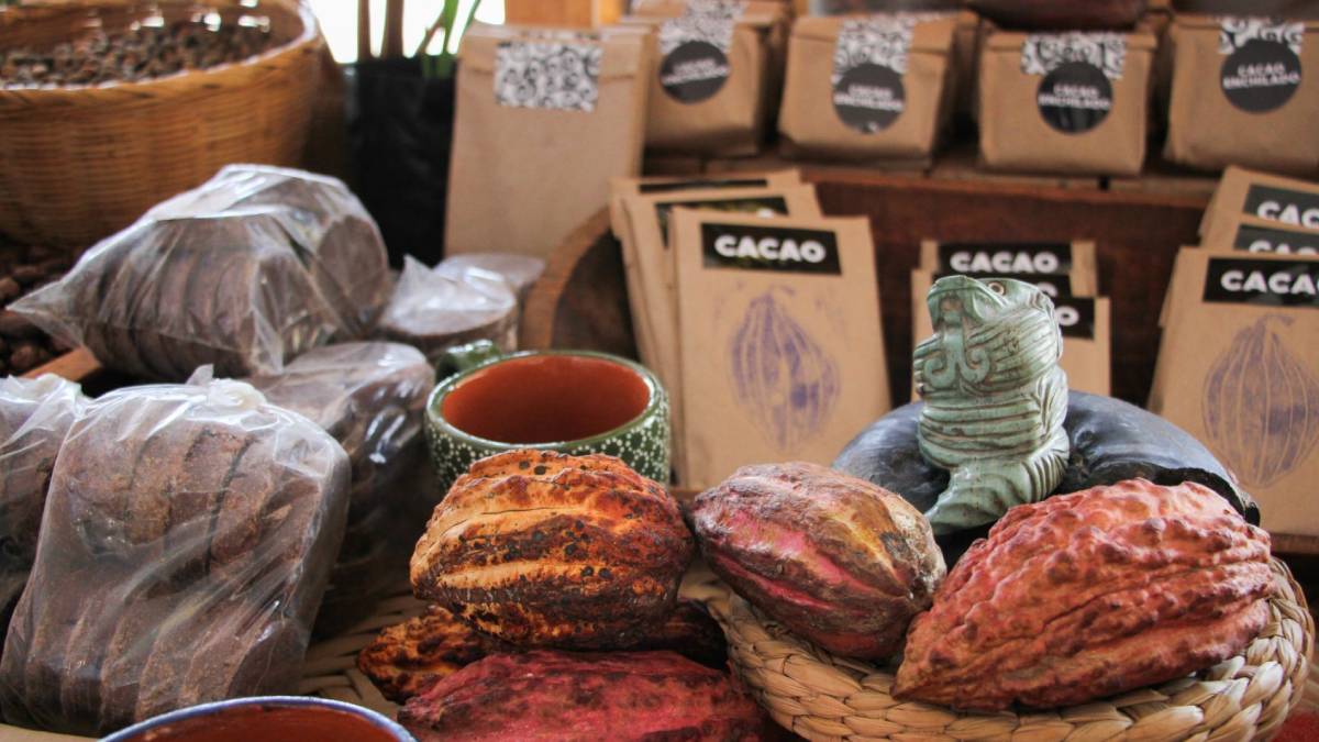 Festival Cacao Para Todos reunirá el sabor del chocolate de 14 estados en el Museo Anahuacalli