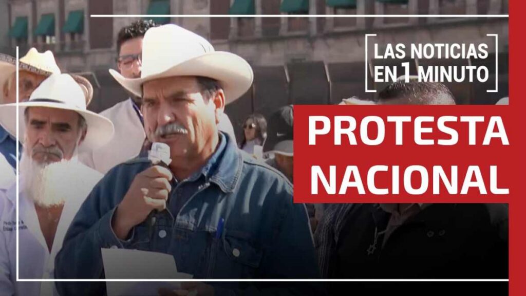 Noticias de hoy 11 de noviembre de 2025, en un minuto, hasta las 19:00 horas