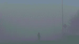 Conductor graba a mujer caminando sola en la niebla en Tamaulipas; el video se vuelve viral