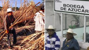 Cañeros piden precios de garantía y frenar importaciones de azúcar