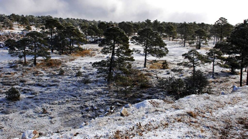 Zona serrana en Durango registra temperaturas bajo cero.