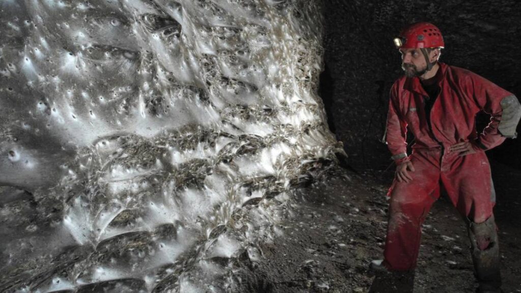 La telaraña más grande del mundo está en la “Cueva del Azufre”: 111 mil arañas viven ahí