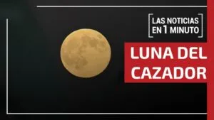 Noticias de hoy 5 de noviembre 2025, hasta las 14:00 horas, en un minuto