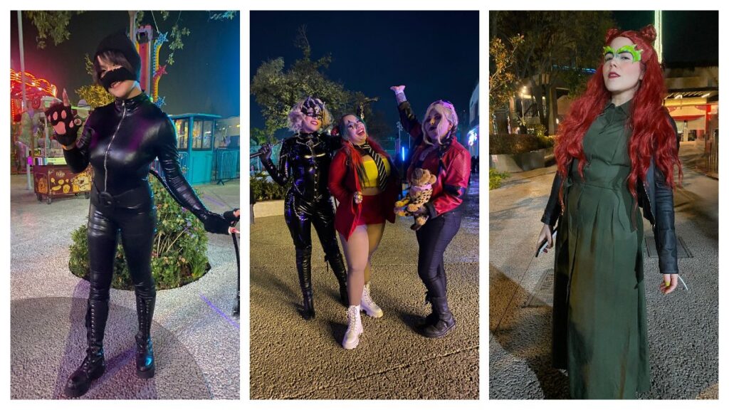 Villanas Dc Ghotam City Circus