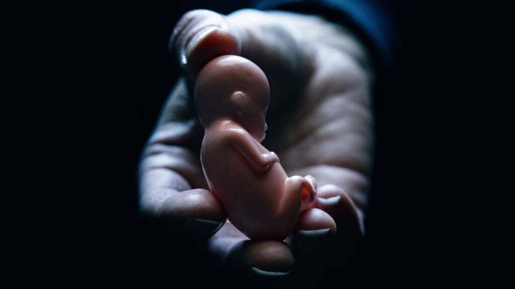 Abortos espontáneos podrían tener explicación.