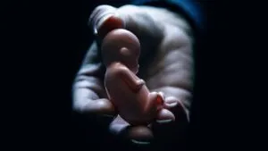 Las alteraciones metabólicas podrían explicar los abortos espontáneos repetidos, según estudio