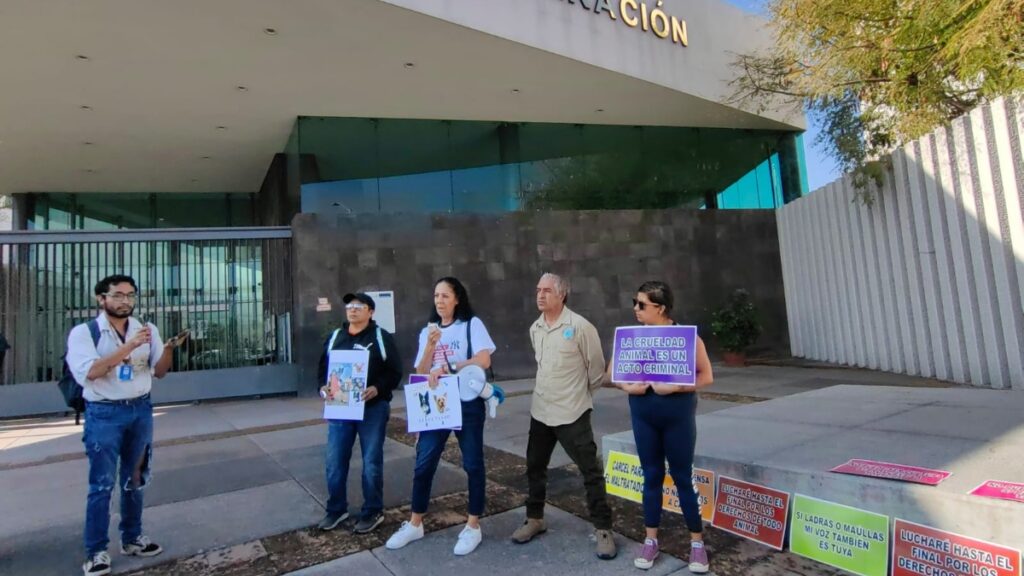 Activistas marchan en Querétaro por justicia para Athos y Tango, tras reducción de al asesino