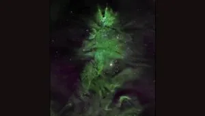 “Árbol de Navidad” en el espacio: la NASA revela impactante imagen
