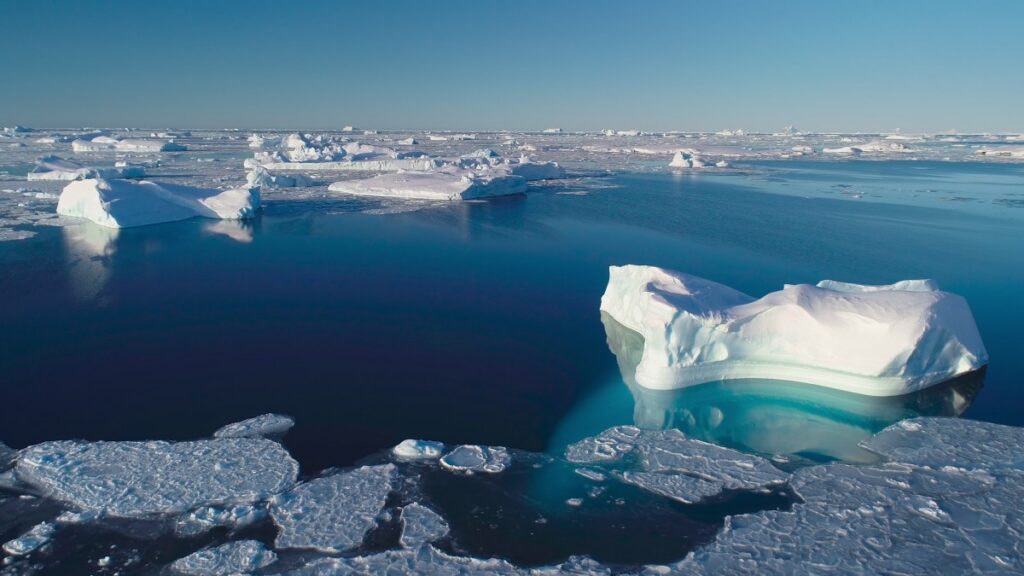 ¡El "refrigerador del mundo"en peligro! El Ártico registra el año más caluroso desde que se tiene registro