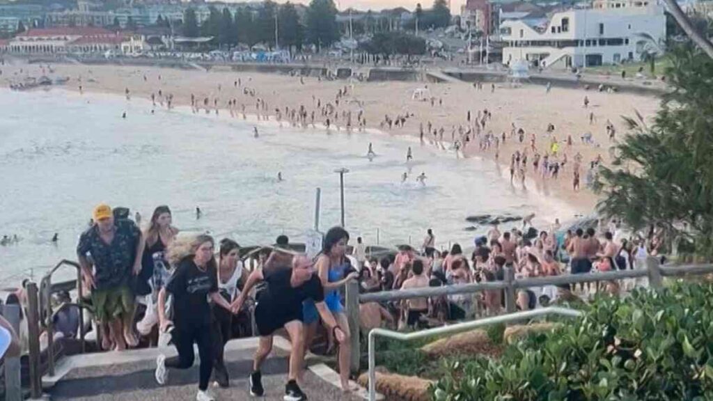 Sube a 16 el balance de muertos por ataque durante festividad judía en playa de Australia