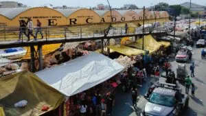 Avanza la cuenta regresiva para prohibir la venta de animales en el Mercado de Sonora