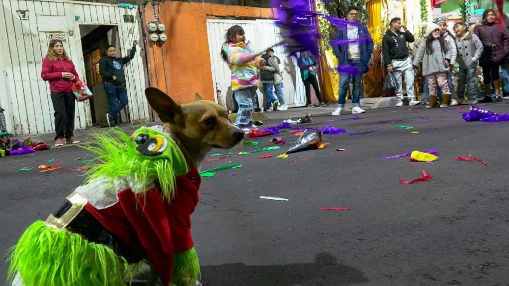 Bajas temperaturas “congelarán” las posadas de navidad de este 2025