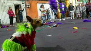 A sacar el cobertor: posadas se celebrarán con temperaturas bajo cero en estos estados