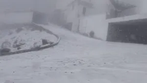 Paisaje invernal: así luce el Cofre de Perote tras la primera nevada