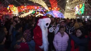 Conciertos gratis en el Zócalo CDMX por la Verbena Navideña 2025: Los Askis, Las Víctimas del Dr. Cerebro y más