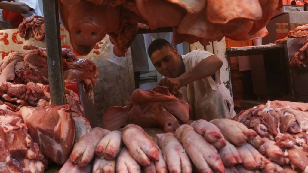 Investigan importaciones de la carne de cerdo.