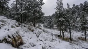 Por clima, cierran Nevado de Toluca hasta nuevo aviso