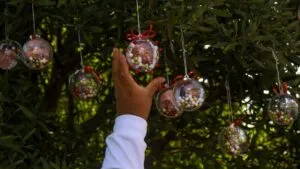 México arranca diciembre con 187 desapariciones