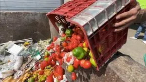 Desperdicio de alimentos sube 40% en Navidad y Año Nuevo