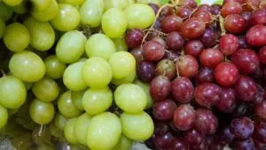 Año Nuevo 2026: ¿cuáles son las diferencias entre uvas rojas y verdes?