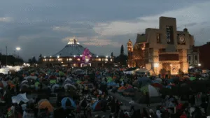 Récord en la Basílica tras 12.8 millones de peregrinos; 30 perritos rescatados y 15 personas detenidas
