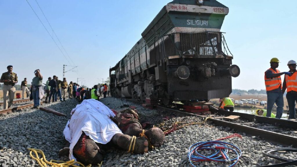 Mueren siete elefantes tras ser arrollados por un tren en el noreste de India.