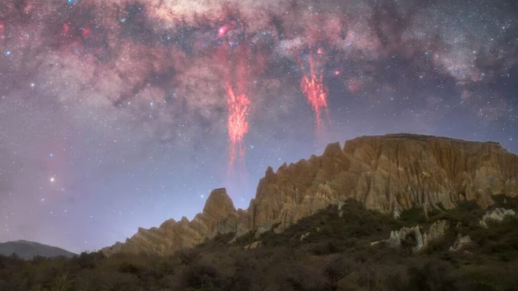 Como obras de arte: las mejores imágenes científicas de 2025, según Nature