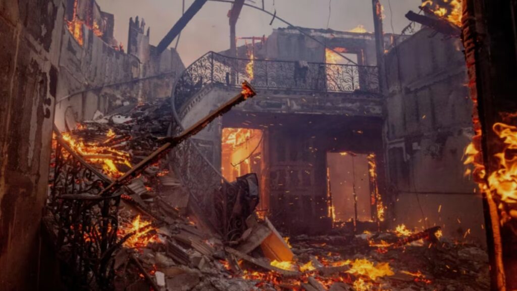 Como obras de arte: las mejores imágenes científicas de 2025, según Nature