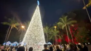 Inician recorrido navideño en el Jardín Botánico de Culiacán