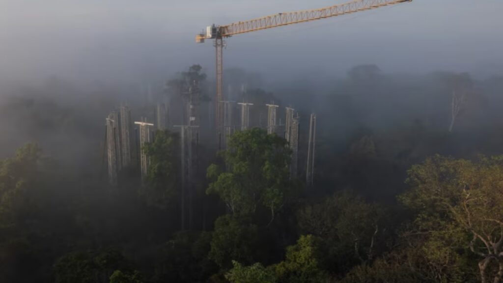 Como obras de arte: las mejores imágenes científicas de 2025, según Nature