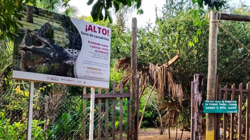 Letreros alertan presencia de cocodrilos.